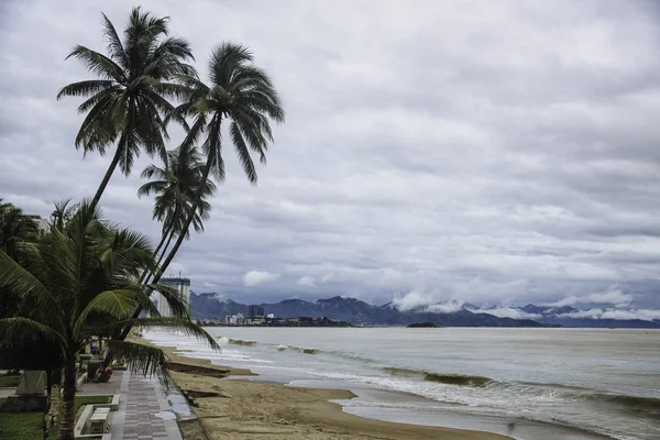 Beautiful landscape of palm trees against the sea, mountains. background picture — Stock Photo, Image