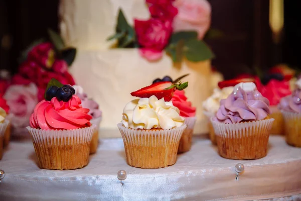 Sladký svatební dort s tyčinku, muffiny, koláče a sladkosti v oblasti svatební party. Koncepce reklamních scenérie jídla a dezerty — Stock fotografie