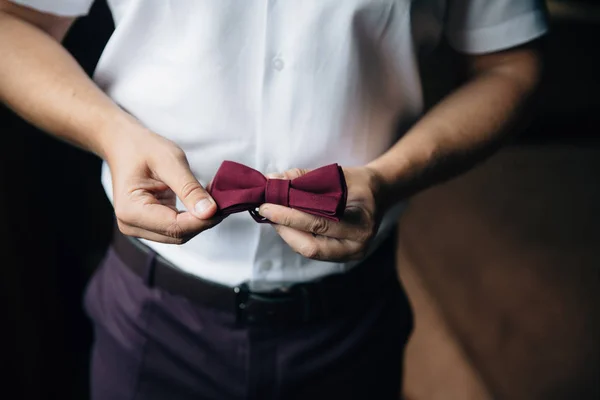 Close-up businessman groom holding bow-tie in his hands. Concept of men stylish elegance clothes Royalty Free Stock Photos