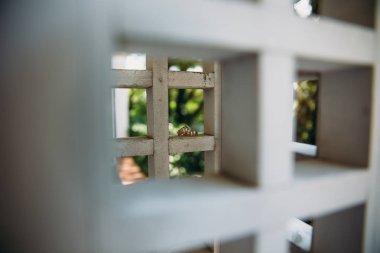 Ahşap bir zemin üzerine altın yüzük düğün. Takı kavramı