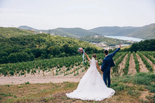 Bruden och brudgummen håller händer och vände, bakifrån — Stockfoto