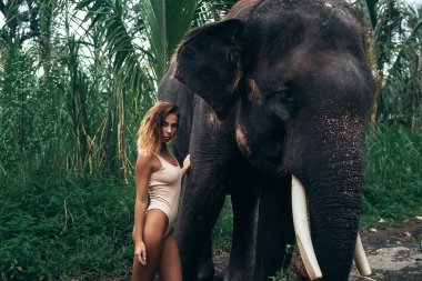 Fil orman sarılma kıvırcık saçlı sarışın model portresi. Fit vücut beyaz mayoyla poz güzel kızla. Hayvanat Bahçesi, tropikal photoshoot kavramı