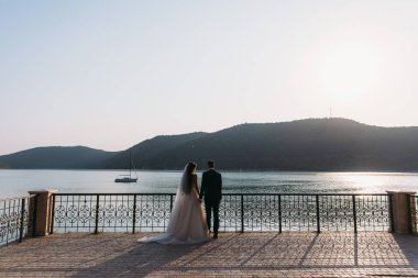 Dikiz yeni evli çift, gelin ve damat bir göl arka plan üzerinde elele. Sevimli kız beyaz elbiseli siyah giyen adamlar uygun. Tekne ve dağlar manzara. Aile kavramı
