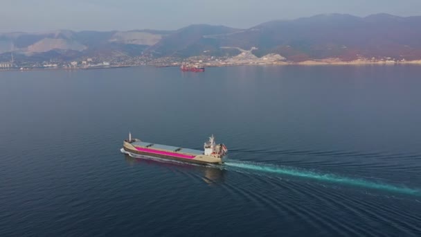 Повітряні кадри ультра великого порожнього вантажного корабля на морі, вид зверху вниз — стокове відео