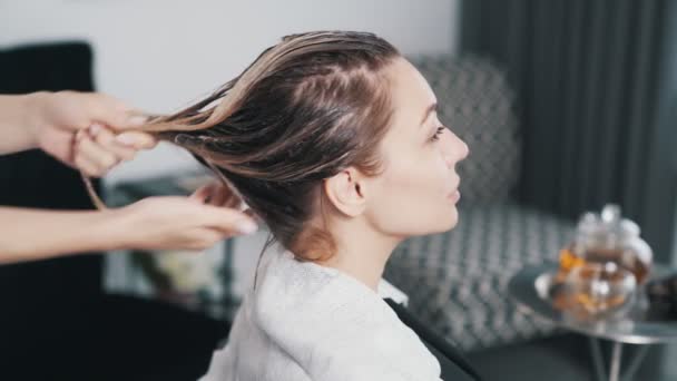 Close up de mãos de cabeleireiro aplicando máscara de cabelo no cabelo de mulher jovem — Vídeo de Stock