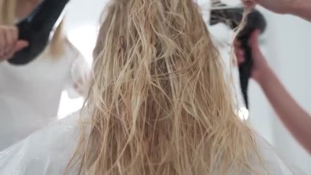 Kapsalon droogt vrouwelijk haar met haardroger, achteraanzicht — Stockvideo
