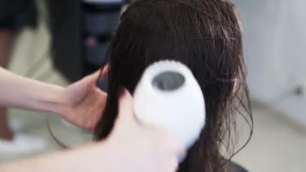 De cerca, la peluquería seca el cabello húmedo de la mujer con secador de pelo en el salón de belleza — Vídeo de stock