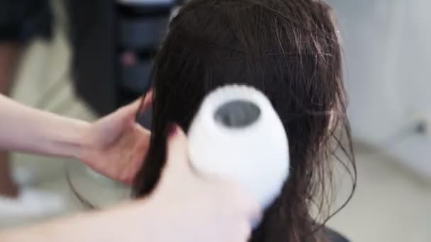 De cerca, la peluquería seca el cabello húmedo de la mujer con secador de pelo en el salón de belleza — Vídeos de Stock