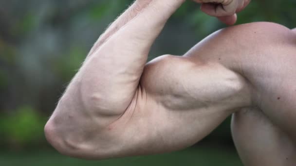 Nahaufnahme von muskulös hochgepumpten männlichen Bizeps, Mann trainiert Muskeln am Arm — Stockvideo