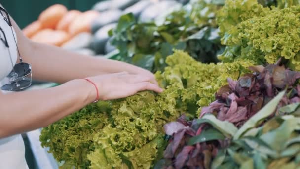 Närbild, handel hylla med grönska, köpare tar massor av sallad från disk — Stockvideo