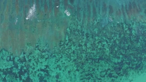 Turquoise transparent water of boundless ocean shallow shelf — Stockvideo