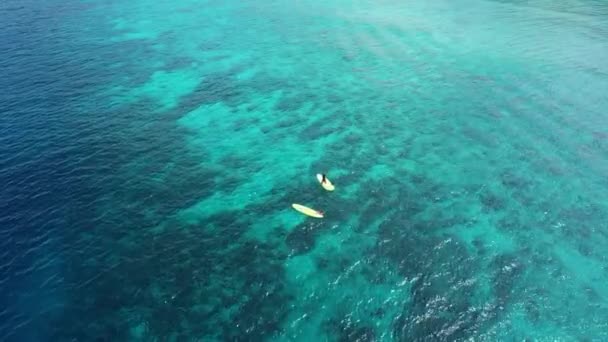 Turisté cvičí Stand Up pádlo na azurovém oceánu, plavání v oceánu — Stock video