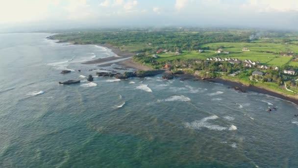 Filmagem aérea da praia vulcânica preta, terraços de arroz verde. Bali, Indonésia — Vídeo de Stock