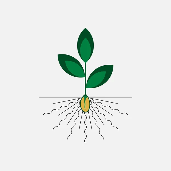 Icono plantas, naturaleza, insignia — Vector de stock
