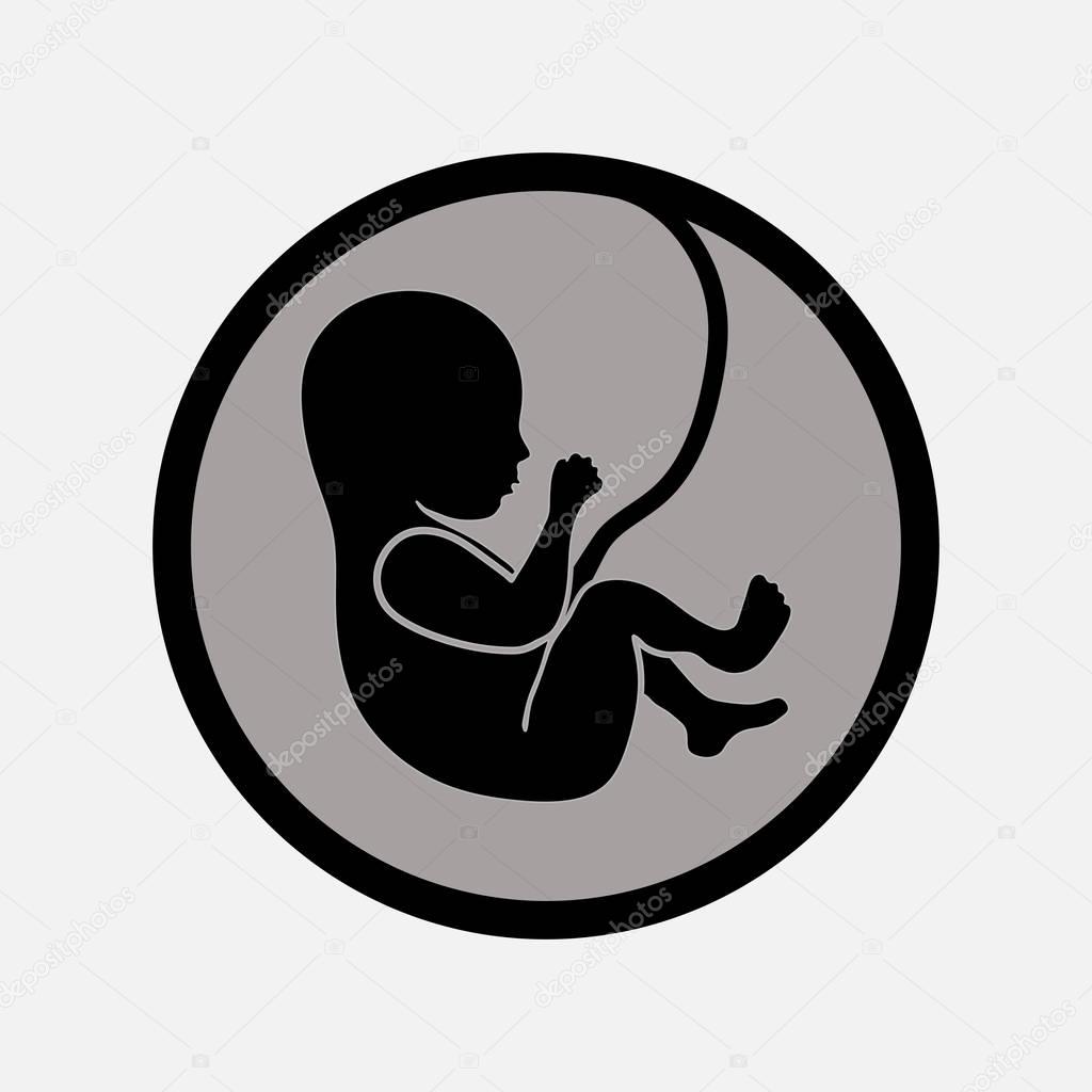 icon baby, fetus, birth