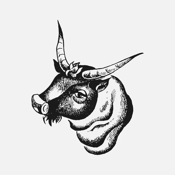Bull's head drawn by hand, zodiac sign — Stock Vector