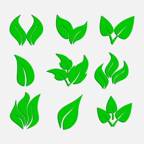 Conjunto de hojas verdes, iconos ecológicos, pegatinas, naturaleza abstracta — Archivo Imágenes Vectoriales