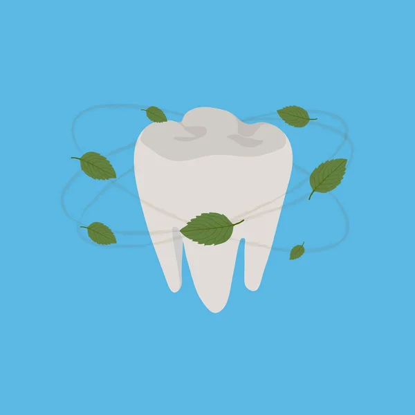 Gesunde Zähne, frischer Atem, Minzblätter — Stockvektor