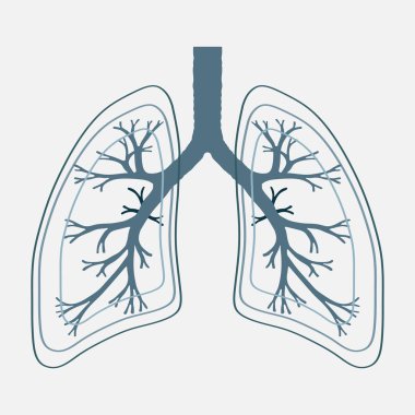 Akciğer anatomisi illüstrasyon insan. Hastalık solunum kanser gra