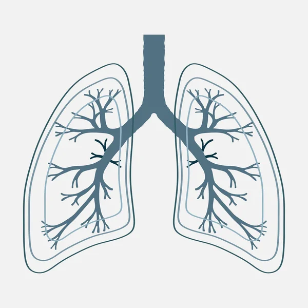 Lidský plicní anatomie ilustrace. Nemoci dýchacích rakovina gra — Stockový vektor