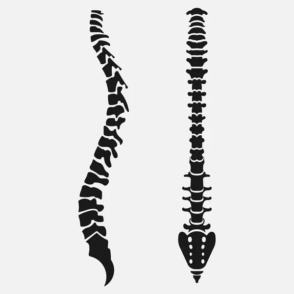 背骨のエンブレム、人間の解剖学、クリニックのアイコン — ストックベクタ