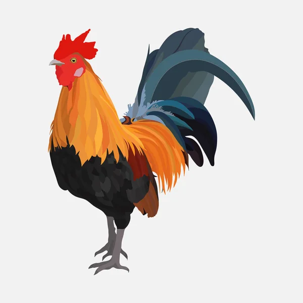 Gallo realistico, anno di gallo, pollame, fattoria — Vettoriale Stock