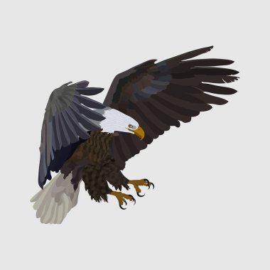 gerçekçi kartal kartal av, freedo sembolü yakalamak, yükselen