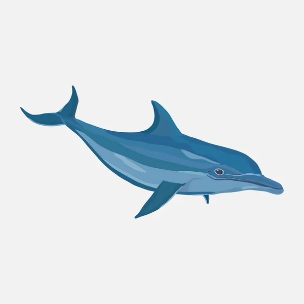 Икона реалистичный дельфин, аквапарк, развлечения — стоковый вектор