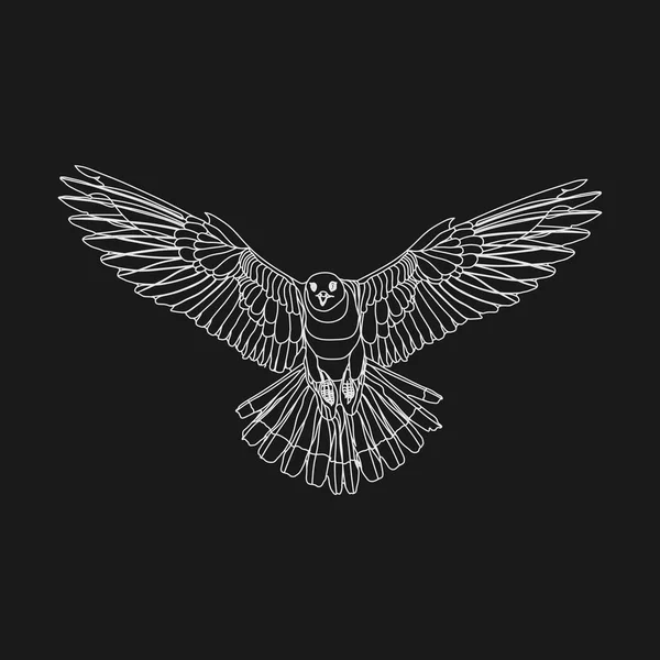 Águila realista águila voladora, presa de captura, un símbolo de freedo — Archivo Imágenes Vectoriales