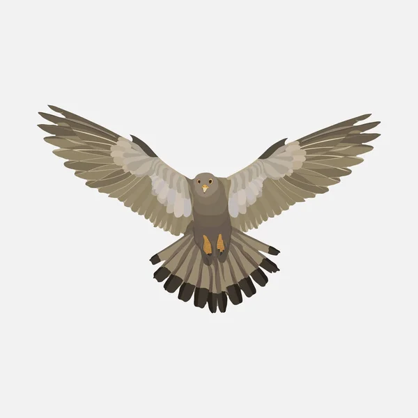 Aigle réaliste aigle planant, attraper une proie, un symbole de Freedo — Image vectorielle