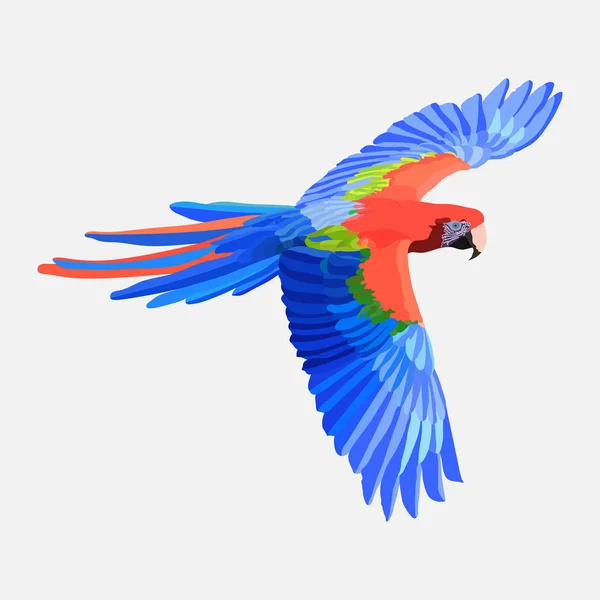 Perroquet réaliste oiseau exotique, perroquet aras Amazone oiseau photo f — Image vectorielle