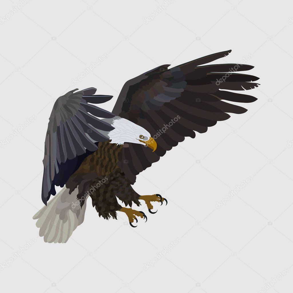 Realistic eagle soaring eagle, catching prey, a symbol of freedom, flat design, vector image