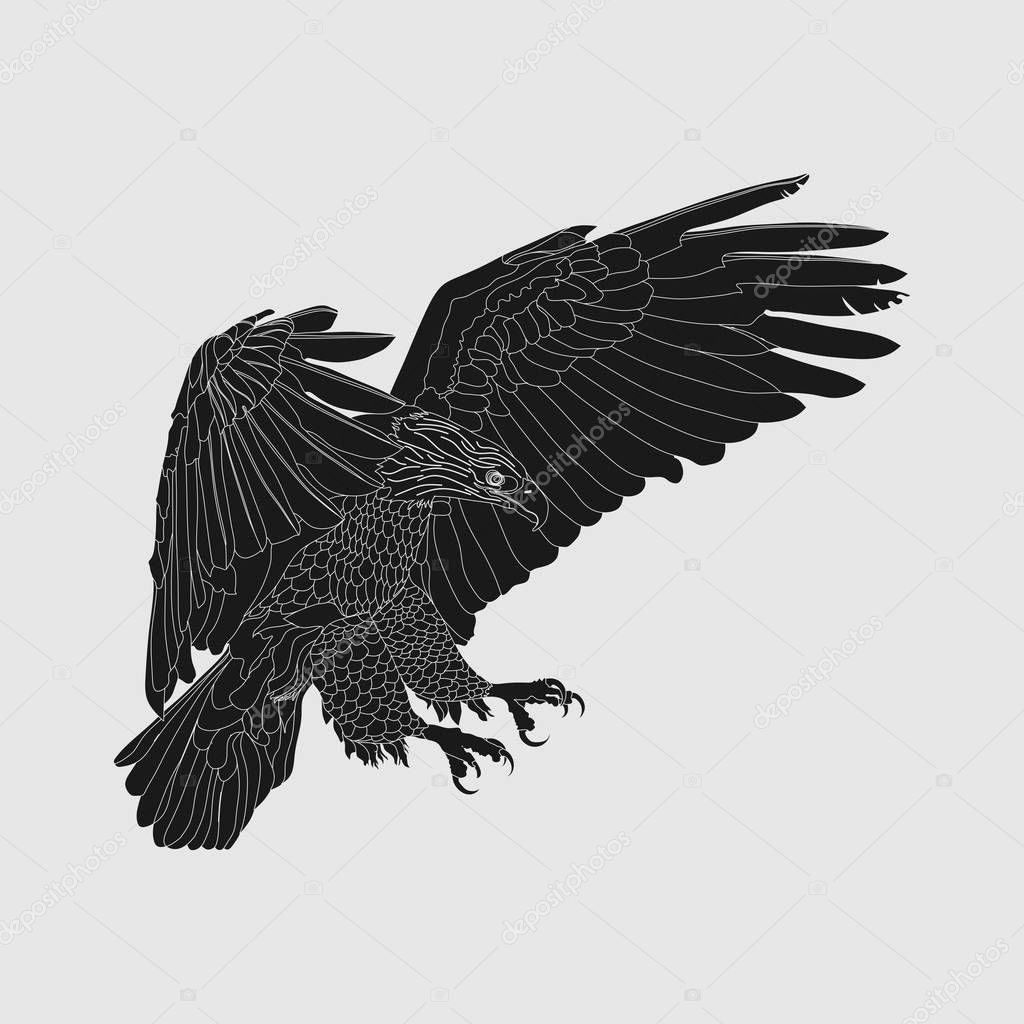 Realistic dark eagle, soaring eagle, catching prey, a symbol of freedom, vector image