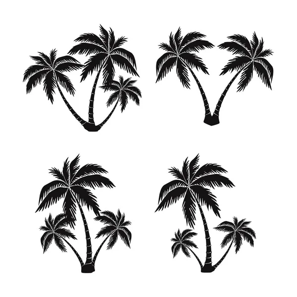 Uppsättning av silhuetter av palmer, exotisk symbol, realistisk stil — Stock vektor