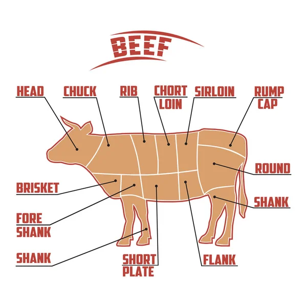 Diagrama de carne de uma vaca, silhueta de uma vaca, esquema de redução de carne de vaca —  Vetores de Stock