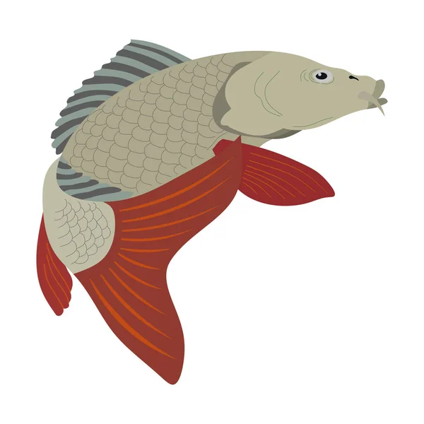 Bild Von Flusskarpfen Realistisches Bild Von Karpfen Süßwasserfischen Logo Für — Stockfoto