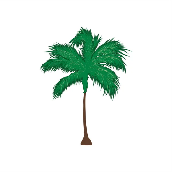 Palm Silhuett Exotisk Symbol Platt Stil Realistisk Stil Bild Idé — Stockfoto