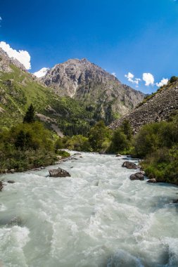 Nehirli güzel dağ manzarası