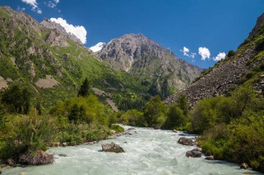 Nehirli güzel dağ manzarası