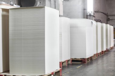 Kağıt yığınları