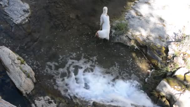 Hund fångar fisk i floden berg — Stockvideo