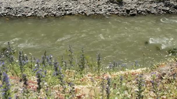 Sur la rivière de montagne — Video