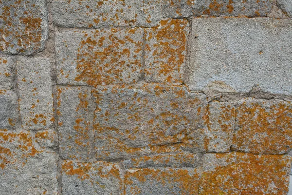 Texture background of stone — Stock Photo, Image