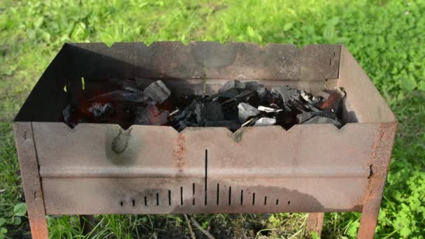 Brazier Marchando Con Fuego Durante Alto Naturaleza Comida Turística Bosque — Vídeos de Stock