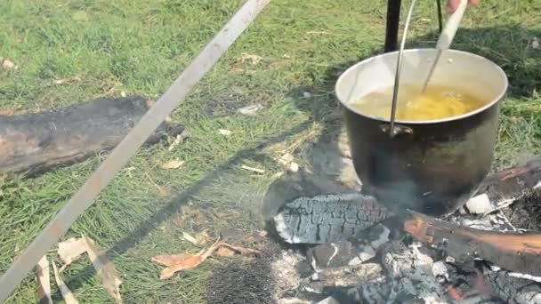 火盆前进与火期间停止性质 旅游食品在树林里野餐 在野外徒步旅行 — 图库视频影像