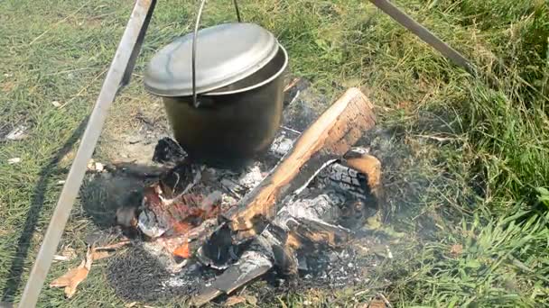 自然に停止時に火で行進火鉢 ピクニックの森の中で観光食品 野生でのハイキング — ストック動画