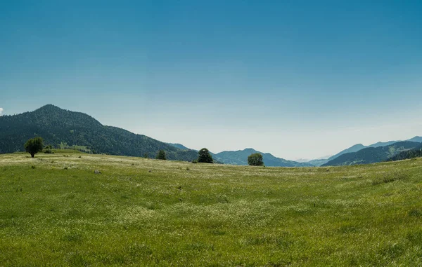 Montagne caucasiche. Georgia. Svaneti. Escursioni a piedi — Foto Stock