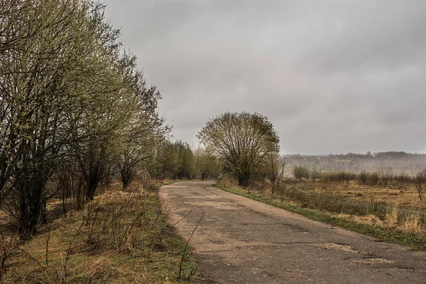 Sonbahar Doğa alanı peyzaj