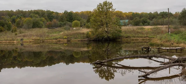 Podzimní Rybník Lese Panorama — Stock fotografie
