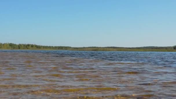 Belle scène de nature 